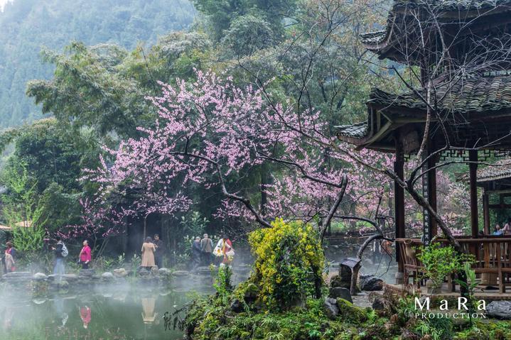 云上的歌
